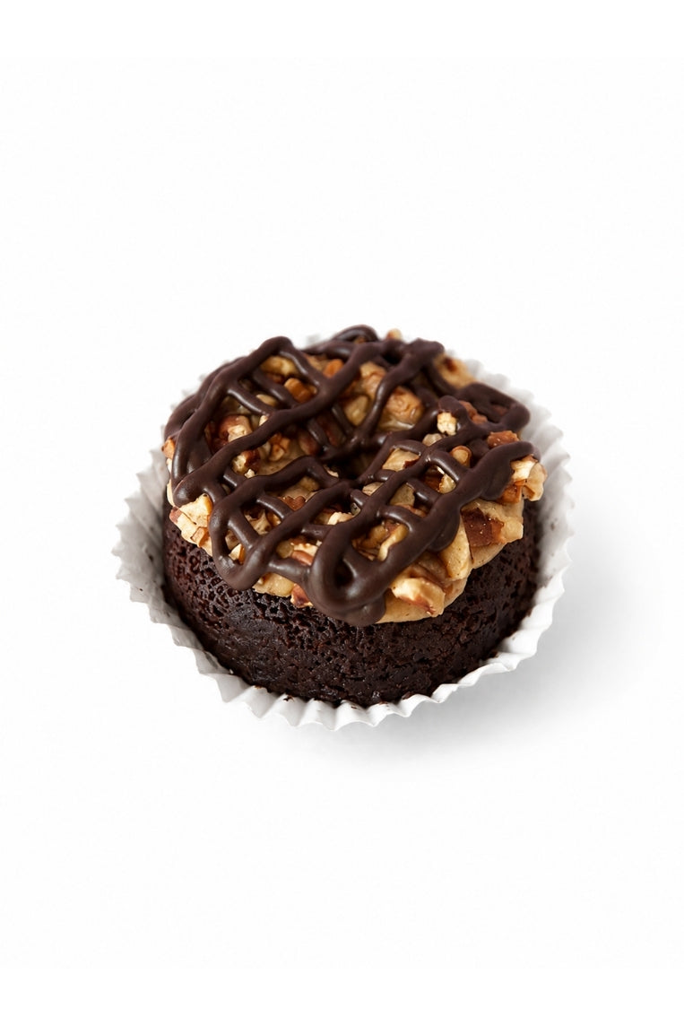 Dreamy Donut Tortuga