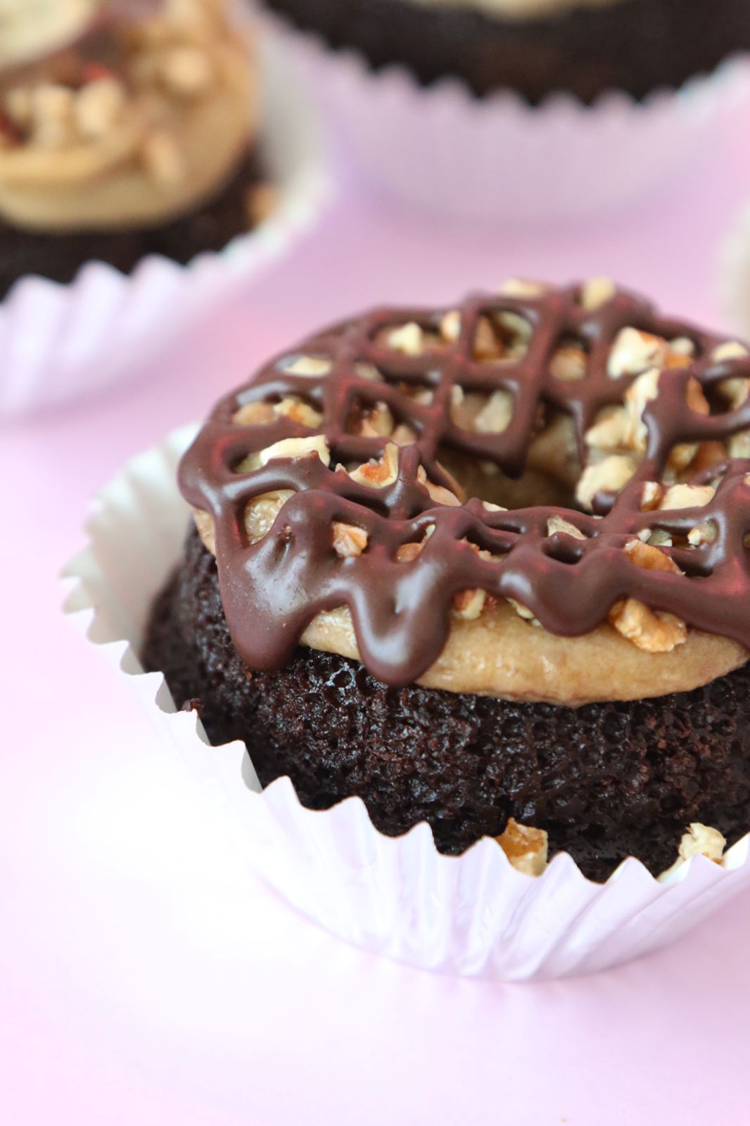 Dreamy Donut Tortuga
