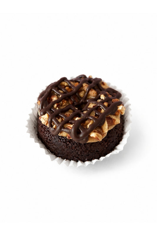 Dreamy Donut Tortuga